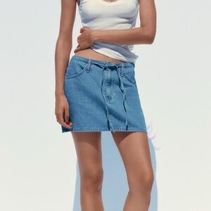 NWT Zara Skirt